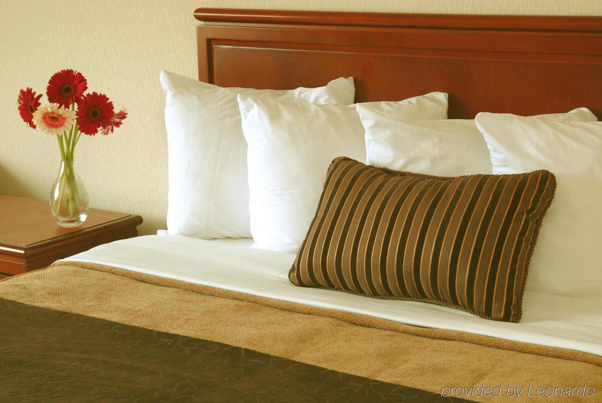 Hotel Doubletree By Hilton St. John'S Harbourview Chambre photo